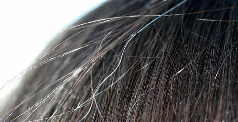 closeup of gray hair against dark hair