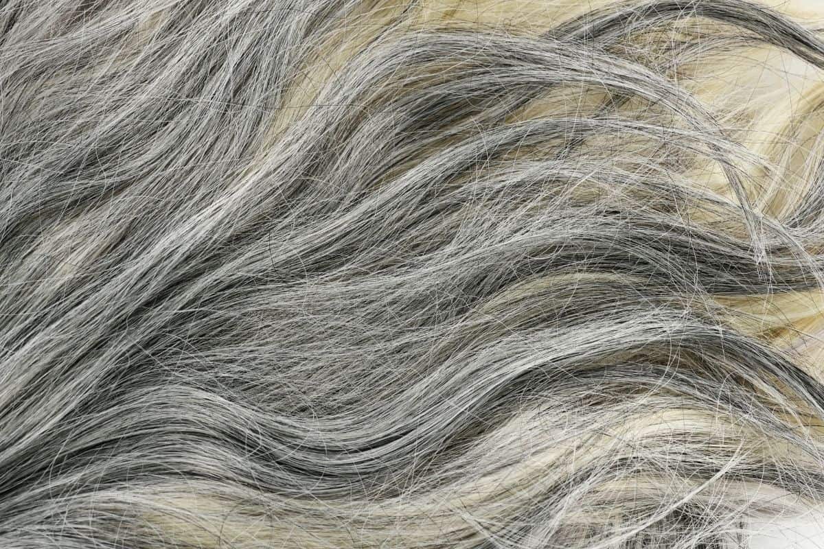 How to Remove Permanent Hair Dye From Gray Hair (1)